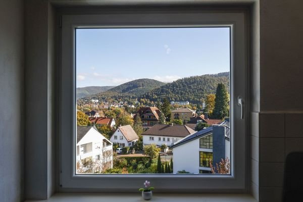 Ausblick Küchenfenster