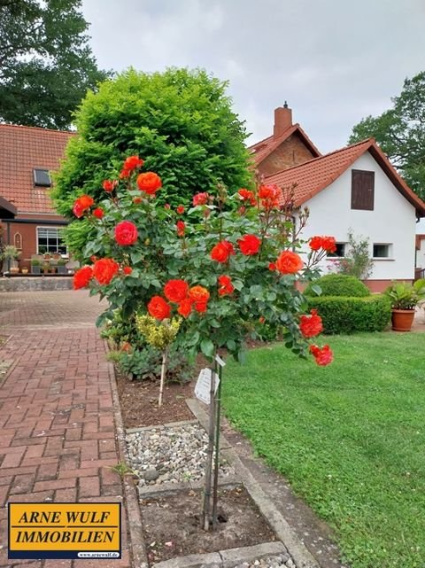 Lüblow Häuser, Lüblow Haus kaufen