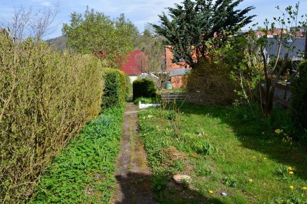 sonniger Garten hinter dem Haus