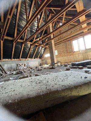 received_277259414976237 (1) (1).jpeg