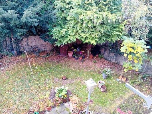 Blick in den Garten.jpg