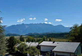 Der Ausblick