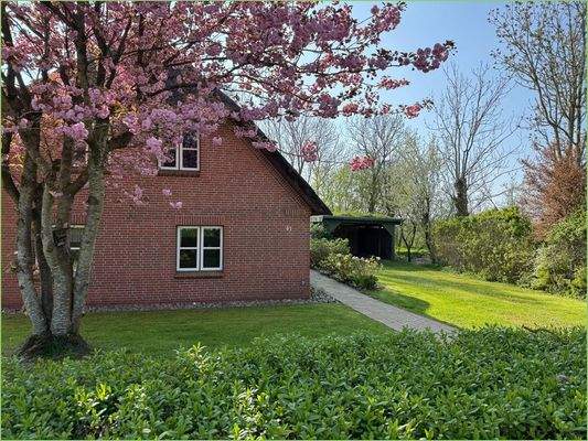 Auffahrt mit Carport
