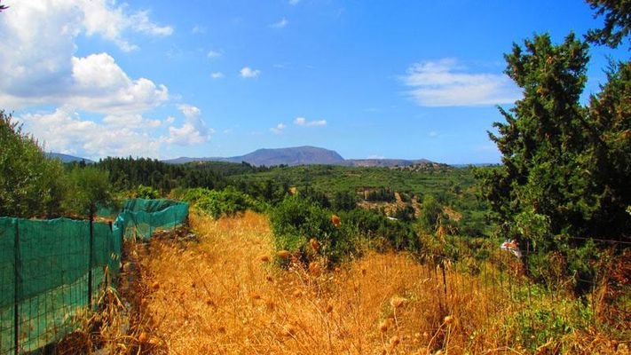 Kreta, Aspro: Hanggrundstück mit Meerblick zu verk