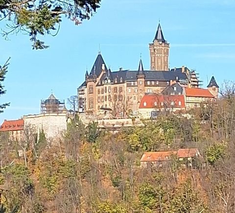 Wernigerode Häuser, Wernigerode Haus kaufen