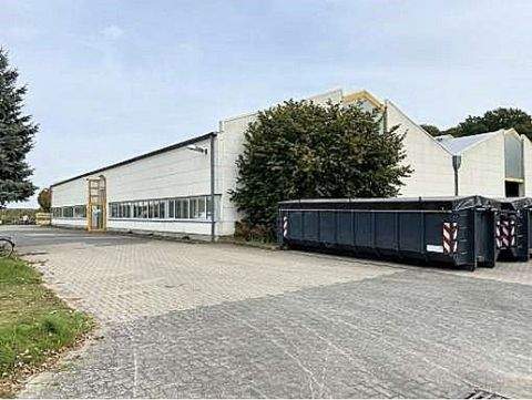 Melz Halle, Melz Hallenfläche