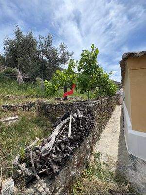 WhatsApp Image 2025-05-11 at 11.23.45-15.jpeg