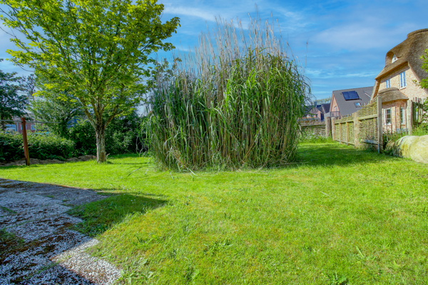 Grünfläche im Garten