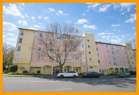 Gera Ladenlokale, Ladenflächen 