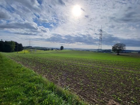 Lengdorf Bauernhöfe, Landwirtschaft, Lengdorf Forstwirtschaft