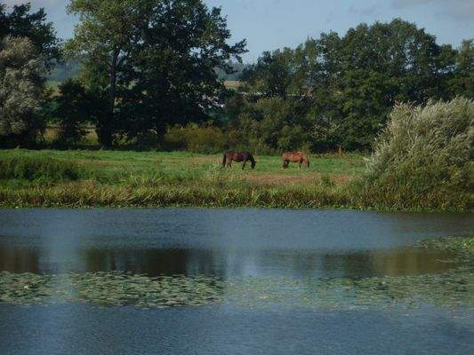 geeignet zur Pferdehaltung    