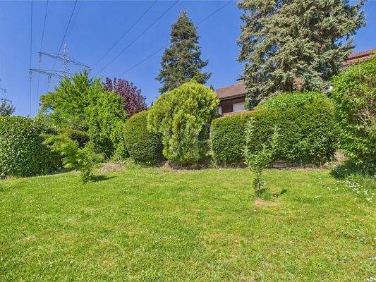 Grün soweit das Auge reicht...