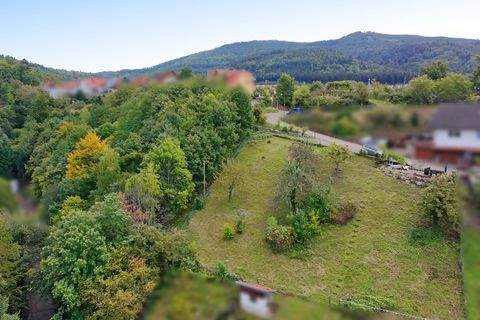 Loffenau Grundstücke, Loffenau Grundstück kaufen