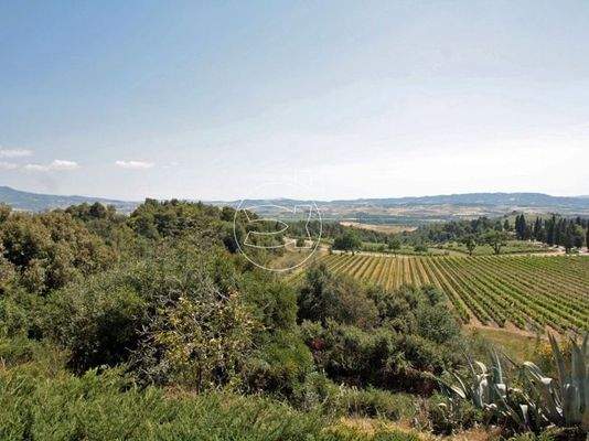 Luxus Anwesen | Montalcino