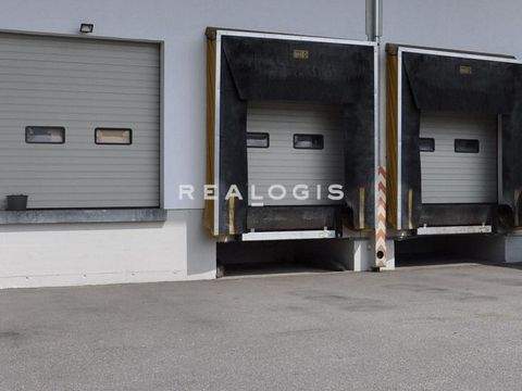 Oberhaching Halle, Oberhaching Hallenfläche