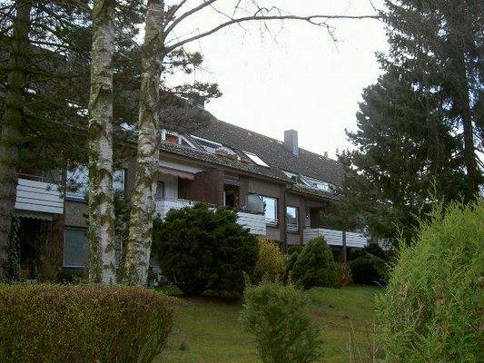 Außenansicht hinten Birkenring .JPG