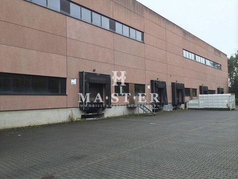 Langenhagen Halle, Langenhagen Hallenfläche