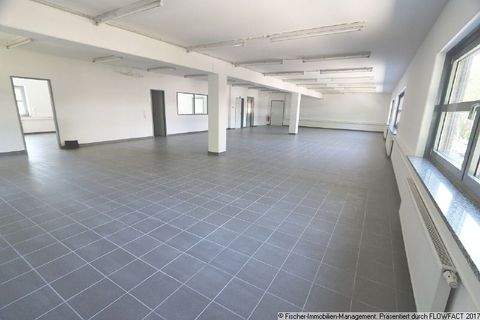 Hamburg Halle, Hamburg Hallenfläche