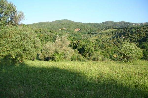 Blick von der grundstück