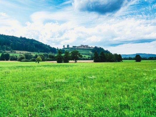 Zugehörige Wiesengrundstücke