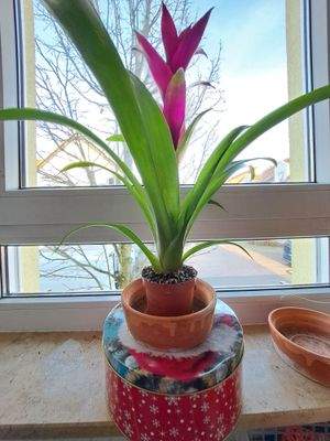 Blick aus der Küche.jpg