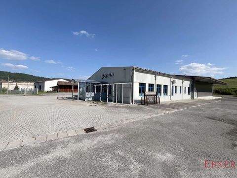 Geiersthal Halle, Geiersthal Hallenfläche