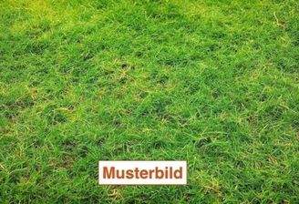 Beispielbild GRD 1.jpg