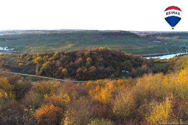 RE/MAX Immobilien DeLux Grundstück Wincheringen