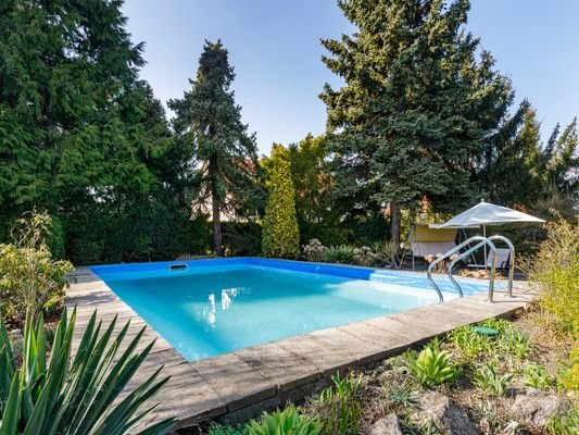 Garden Paradise