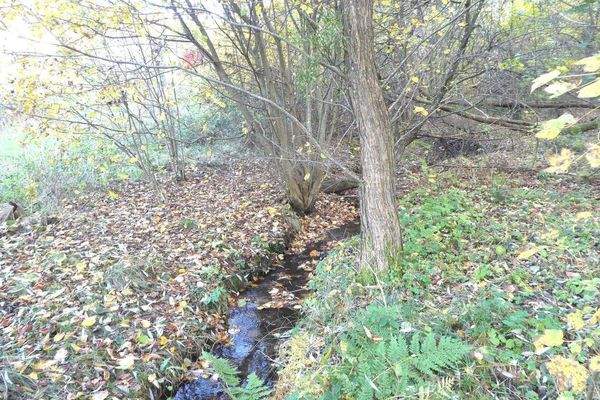 kleiner Bach auf dem Grundstück