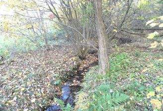 kleiner Bach auf dem Grundstück