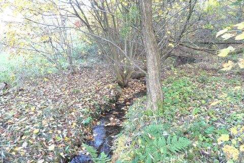 Bad König Grundstücke, Bad König Grundstück kaufen