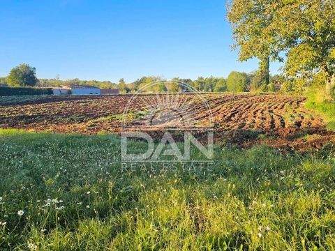 Vizinada Bauernhöfe, Landwirtschaft, Vizinada Forstwirtschaft