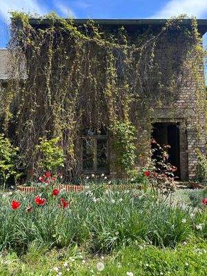 Garten Blick zur Werkstatt