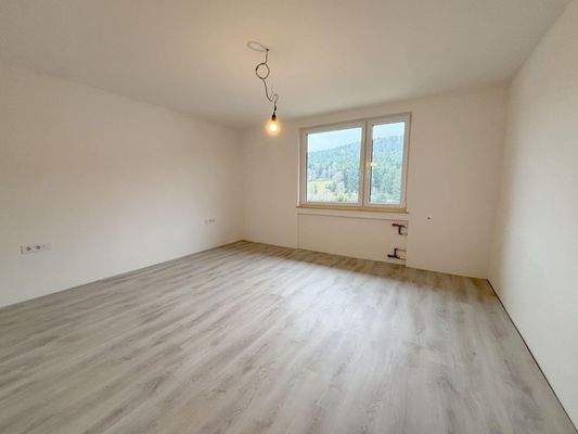 Erdgeschoss - Zimmer