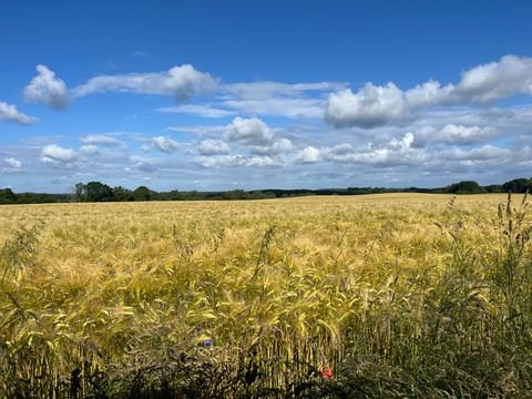 Alt Tellin Bauernhöfe, Landwirtschaft, Alt Tellin Forstwirtschaft