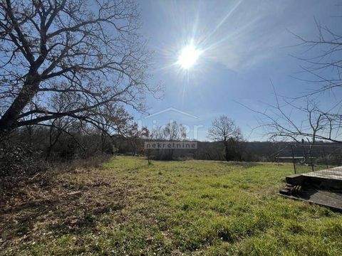 Buje Häuser, Buje Haus kaufen