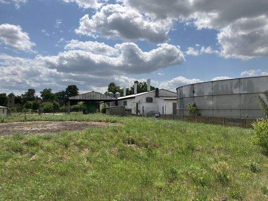 20250619_115935924_iOS