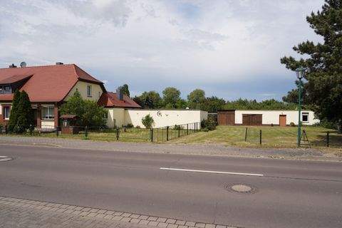 Biederitz Häuser, Biederitz Haus kaufen