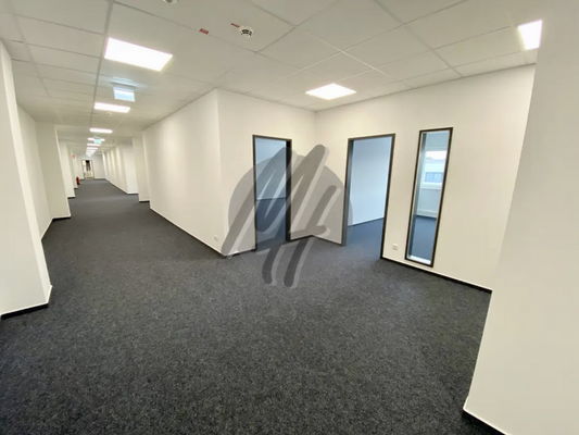 INFOS UNTER: 06171-586000