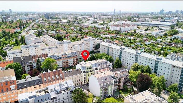 Bild 19