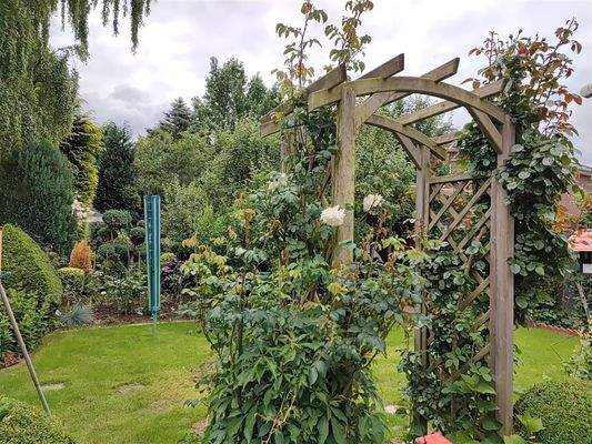 2025-06-11-12-11-57-173 (Large).jpg