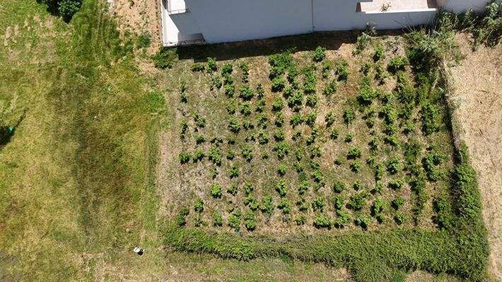 Kreta - Grundstück mit Baugenehmigung für 2 Residenzen in zweiter Linie vom Strand von Maleme zu verkaufen