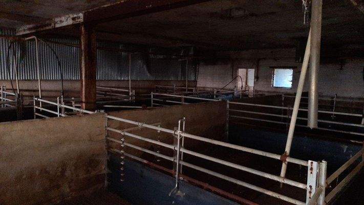 Bild 11 - Stallanlage (Gebäude 4) innen