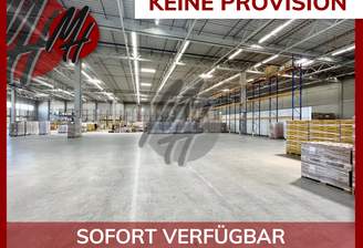 INFOS UNTER: 06171-586000