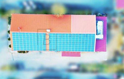 Ulm Halle, Ulm Hallenfläche