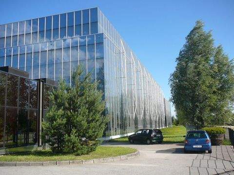 Kranzberg Halle, Kranzberg Hallenfläche