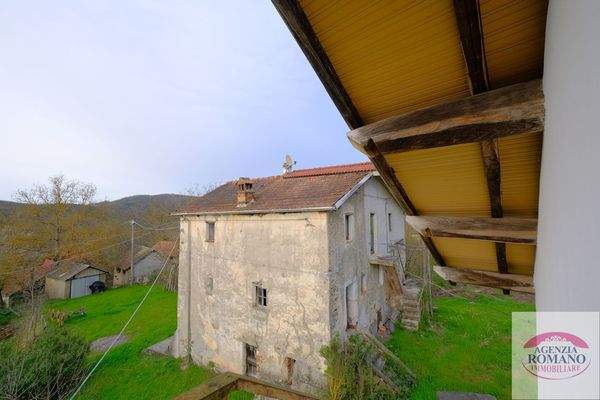 rif 1504(Copy53).jpg