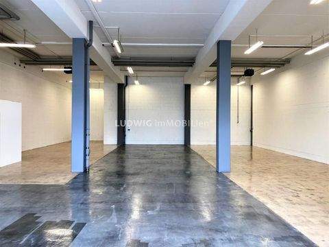 Leinfelden-Echterdingen Halle, Leinfelden-Echterdingen Hallenfläche