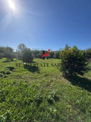 WhatsApp Image 2025-10-30 at 11.44.15 (4).jpeg